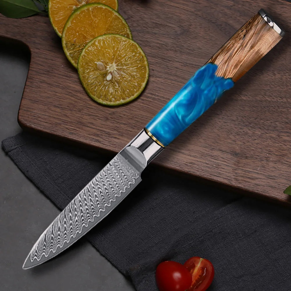 Paring Knife VG10 Damascus Steel