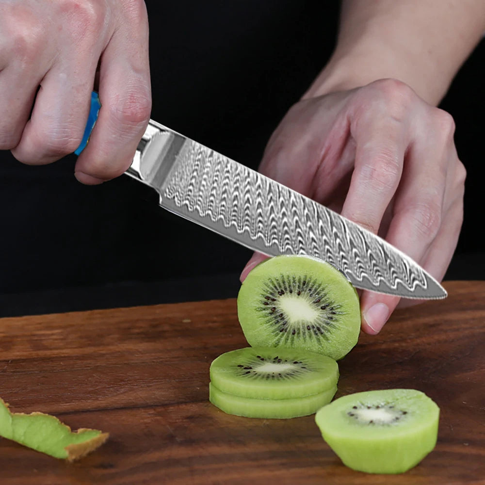 Paring Knife VG10 Damascus Steel