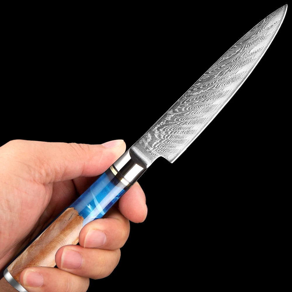 Small Kitchen Knife 5 Inch Small VG10 Damascus Steel